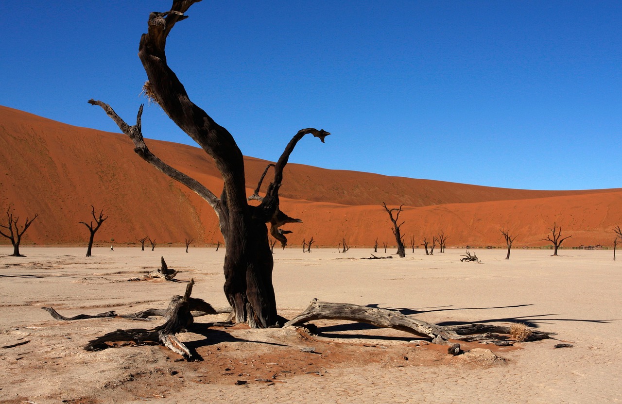 Sossusvlei Red Dunes Namibia